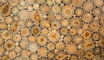 Welches Holz ist das richtige für eine Fasssauna mit Holzofen?