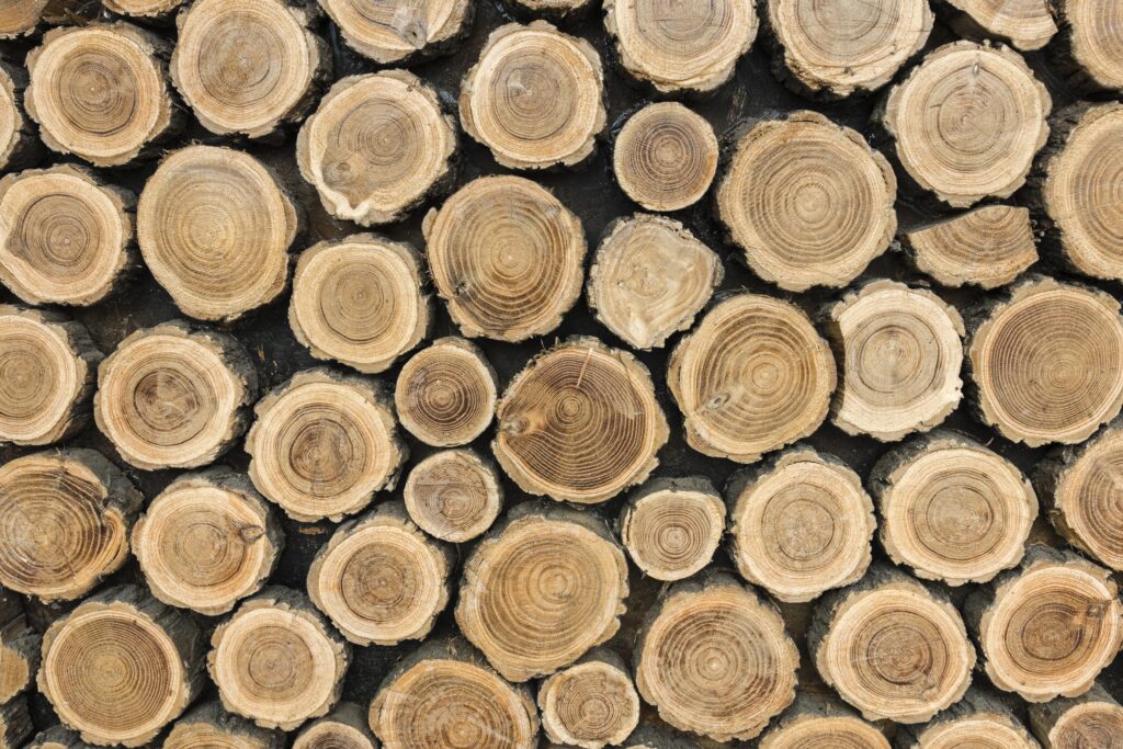 Optimales Holz für Ihre Sauna – Ein umfassender Ratgeber