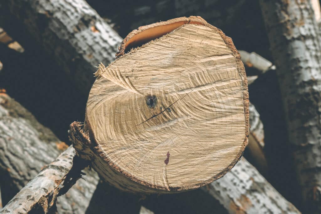 Die besten Holzarten für Ihre Sauna – Ein umfassender Ratgeber